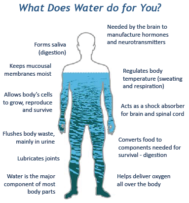 Why Water | Clemmons and Greensboro, NC Chiropractor | Advance Chiropractic & Health Center Why Water | Clemmons and Greensboro, NC Chiropractor | Advance Chiropractic & Health Center